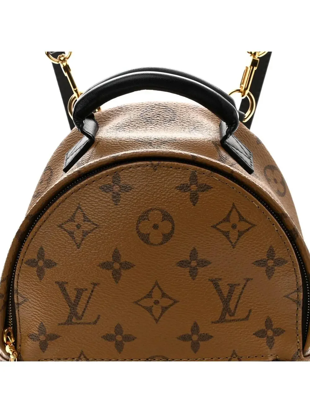 Louis Vuitton Reverse Palm Springs #290711L16B